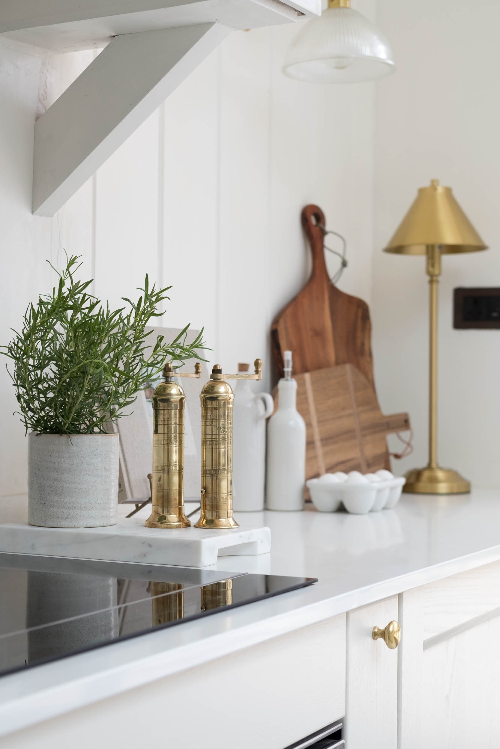 kitchen counter with brass mills plant and a light