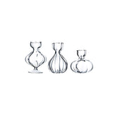 Glass Vases - Set of 3