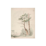 Seaside Landscape