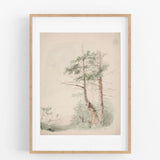 Seaside Landscape