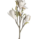 Magnolia Small Budded Branch Collection Set of 2 or 4