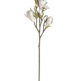 Magnolia Small Budded Branch Collection Set of 2 or 4
