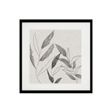 Botanical Sketch I Framed Art Framed Picture