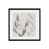 Botanical Sketch II Framed Art Framed Picture
