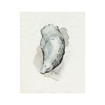 oyster watercolour art print