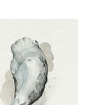 oyster watercolour art print