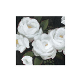 White Peony Bouquet