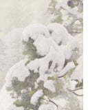Winter Landscape