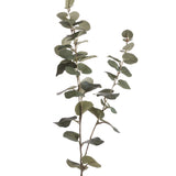 artificial eucalyptus stem