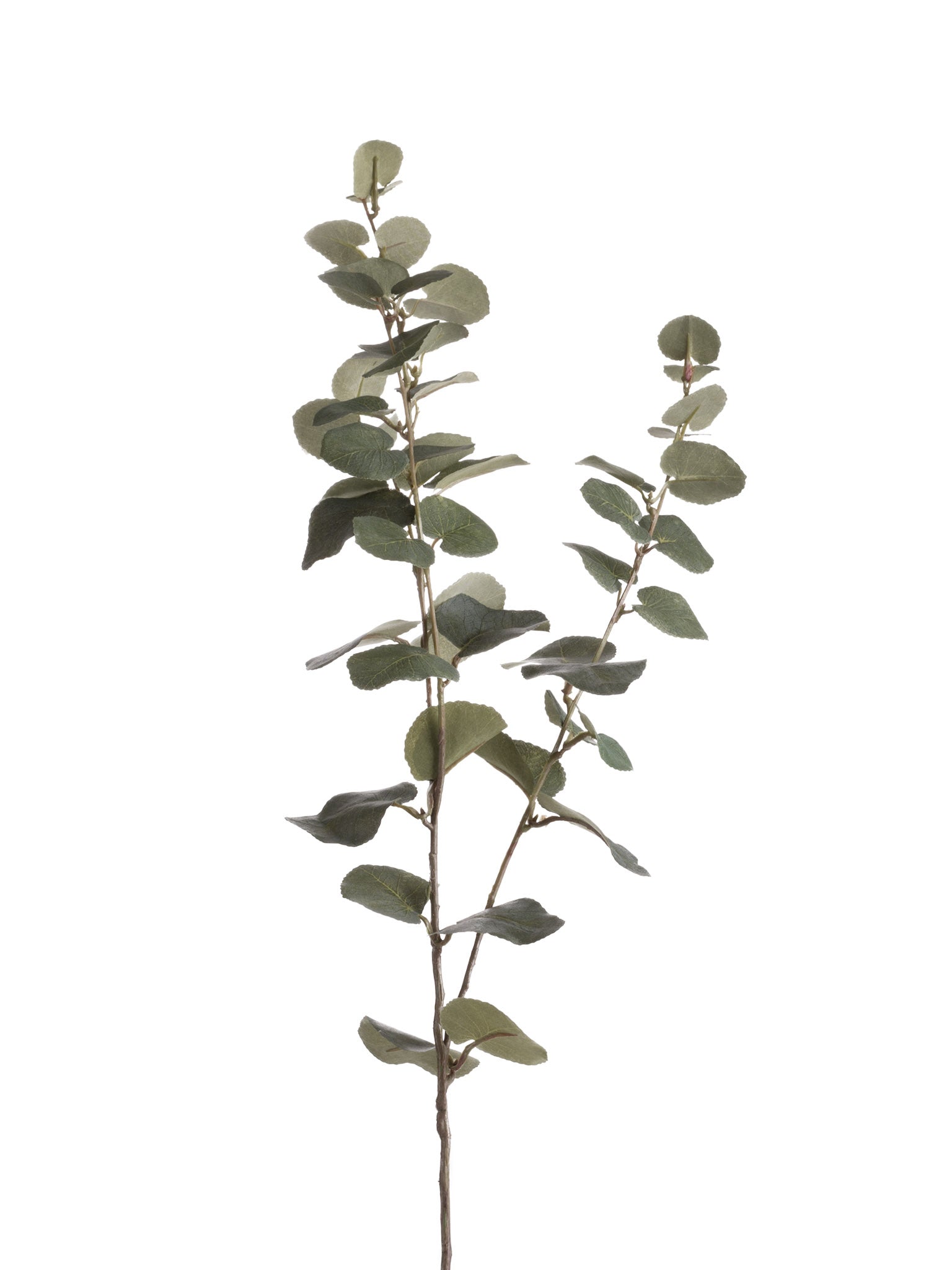 artificial eucalyptus stem