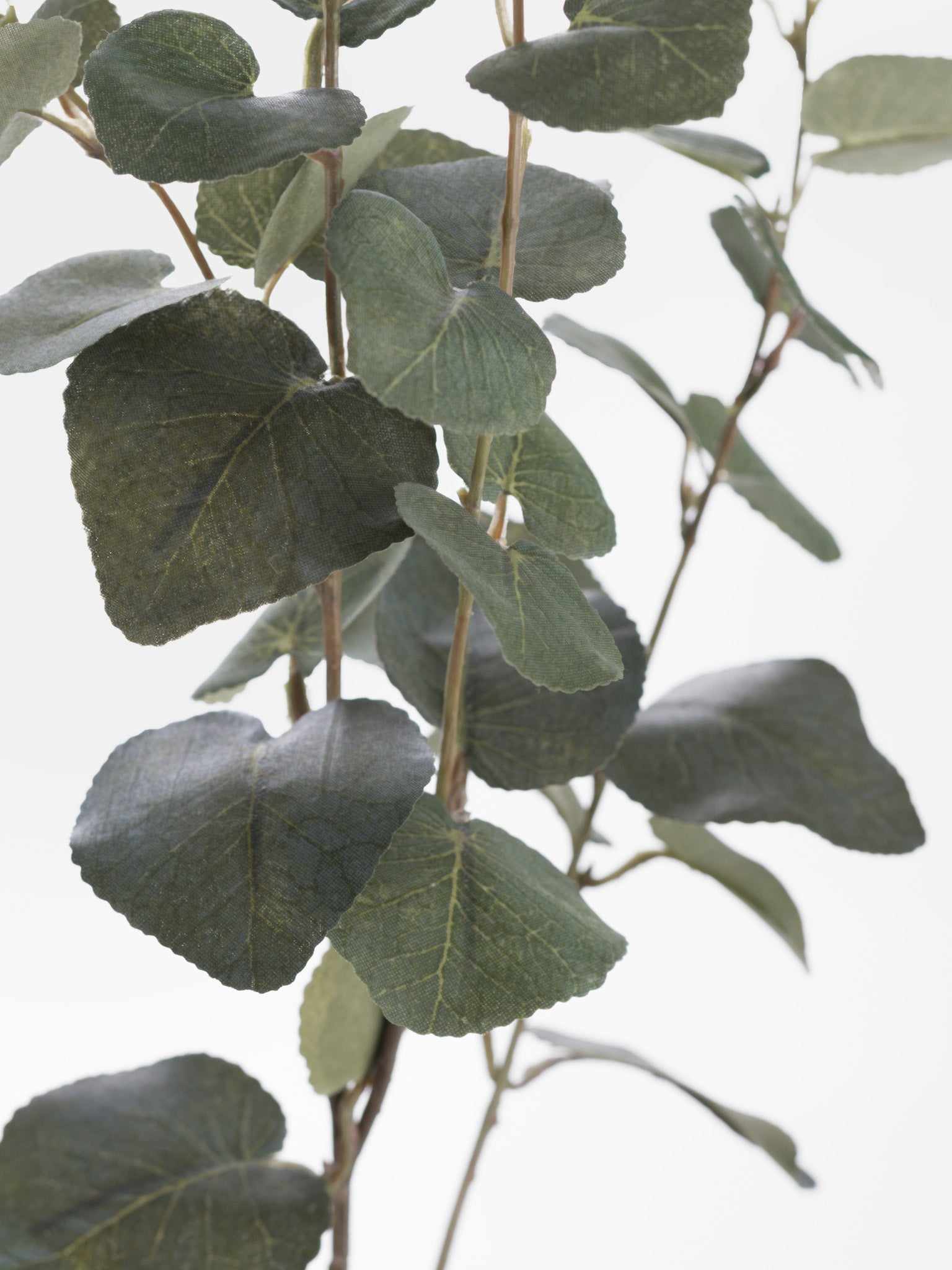 faux eucalyptus stem close up