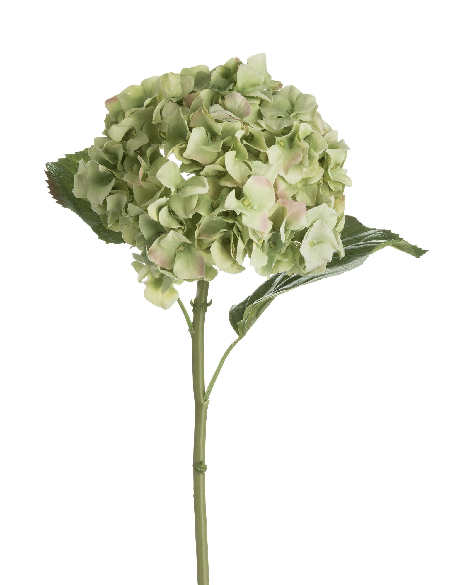 faux green hydrangea stem