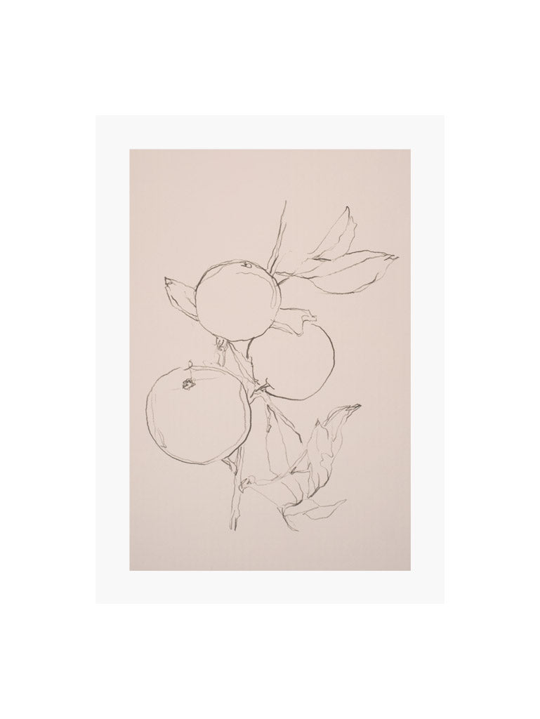 Fruit Contour Study Art Print