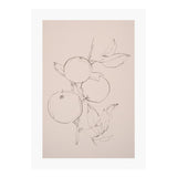 Fruit Contour Study Art Print