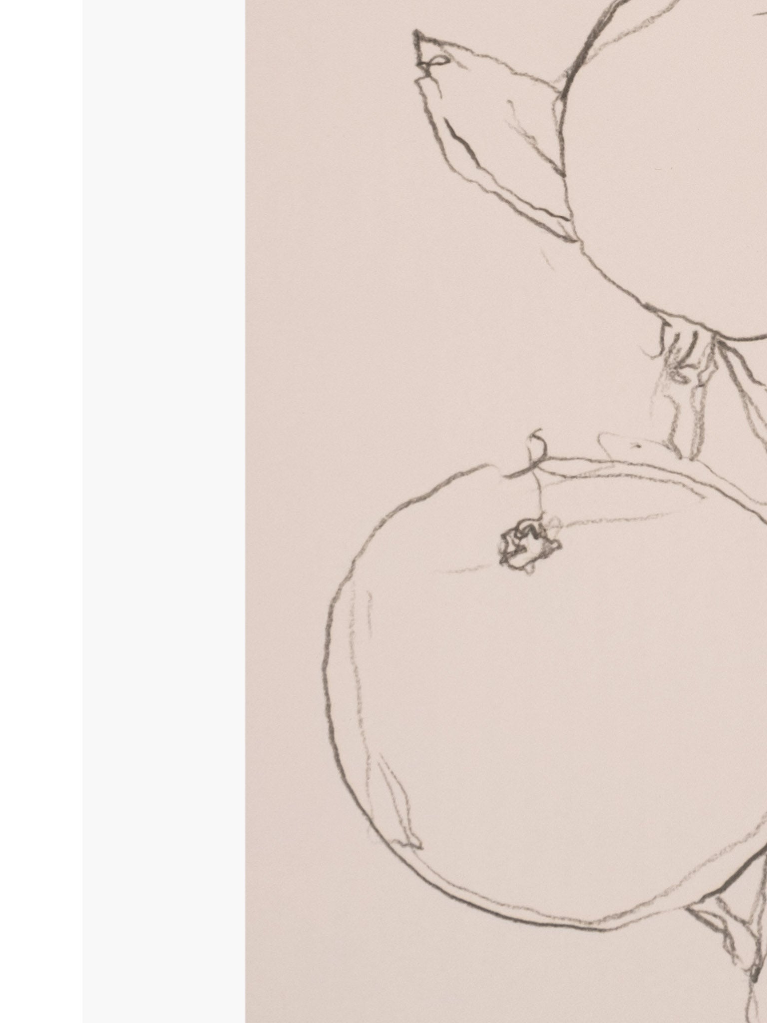Fruit Contour Study Art Print