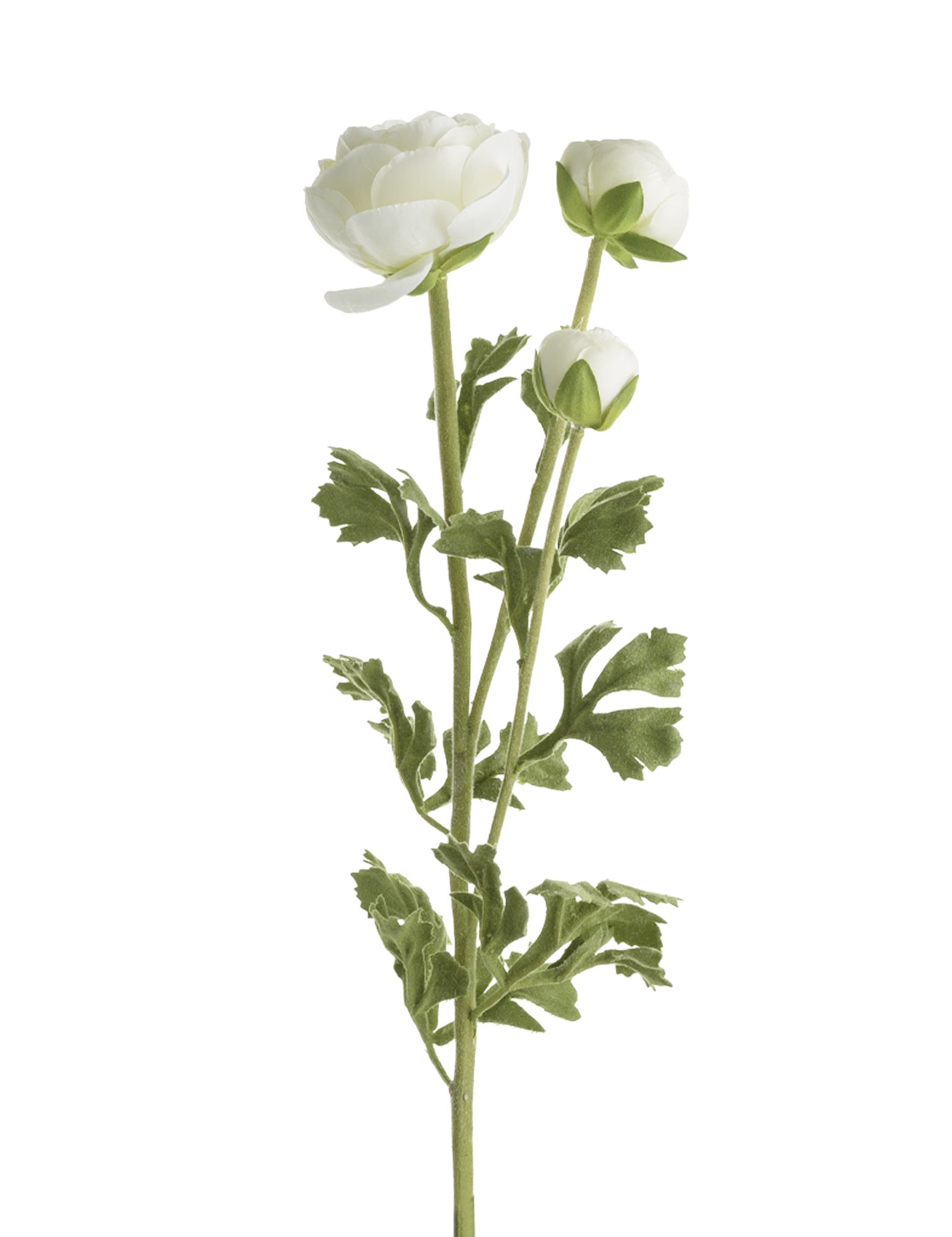 Faux Ranunculus Spray