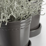 Scalloped Plant Pot Small - Charcoal