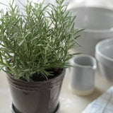 Scalloped Plant Pot Small - Charcoal
