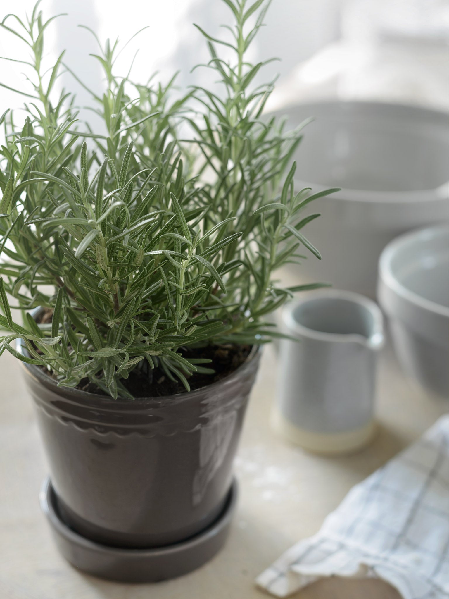 Scalloped Plant Pot Small - Charcoal
