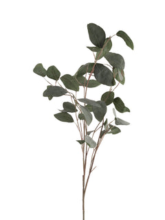 faux silver dollar eucalyptus Hudson Home