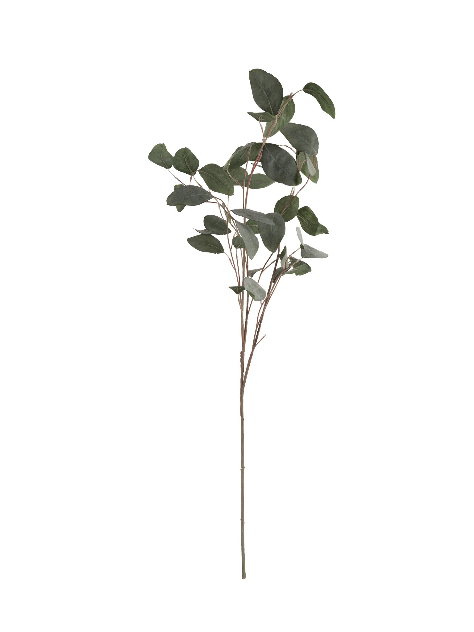 faux silver dollar eucalyptus Hudson Home