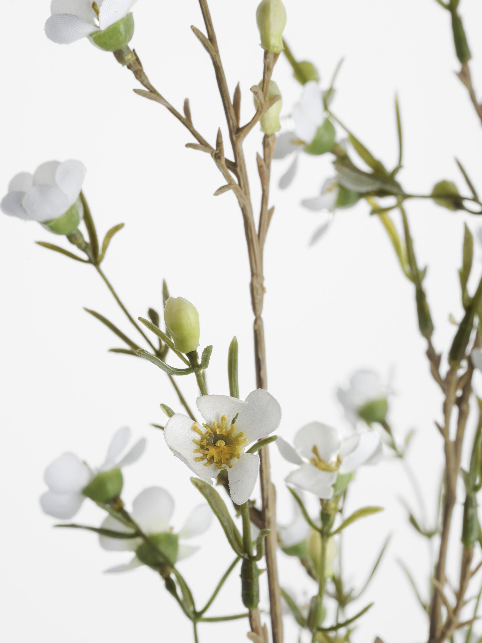 Faux White Wax Flower Stem