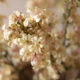 Elara Vase with Faux Blush Stems