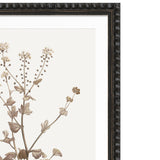 Sepia Floral II Framed Artwork with Bobble Frame