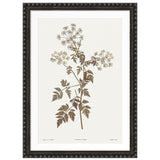 Sepia Floral III Framed Artwork with Bobble Frame