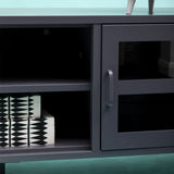 Two Door Metal Media Unit