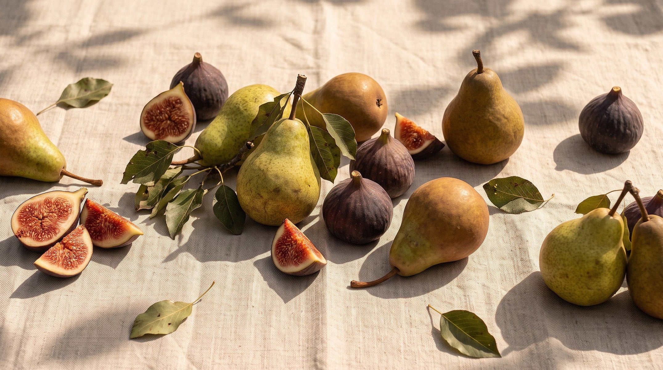 A still life arrangement of whole and sliced figs and pears with green leaves, placed on a light beige fabric surface under dappled sunlight and shadows.