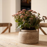 Rustic Light Sand Vase