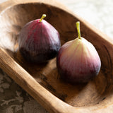 Faux Fig Pair
