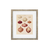 Vintage Veg III Framed Art Print
