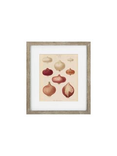 wooden framed onion print