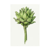 Vintage artichoke print