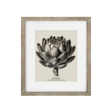 Vintage Globe Artichoke Framed Print