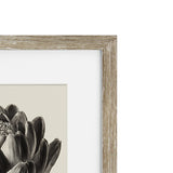 Vintage Globe Artichoke Framed Print