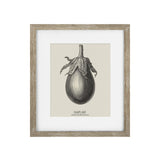 Vintage Aubergine Framed Print