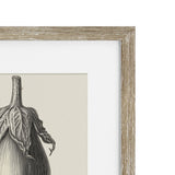 Vintage Aubergine Framed Print