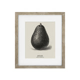 Vintage Avocado Framed Print