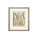 Vintage Veg IV Framed Art Print