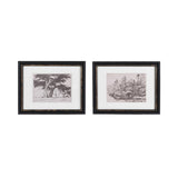 Black and White Vintage Framed Prints - Set of 2