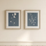 Two framed botanical art prints with blue-gray backgrounds and white floral illustrations, hung side by side on a cream wall above white wainscoting.
