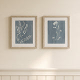 Two framed botanical art prints with blue-gray backgrounds and white floral/leaf illustrations, hung side by side on a cream wall above white wainscoting.