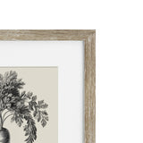 Vintage Carrot Framed Print