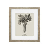 Vintage Celery Framed Print