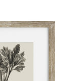 Vintage Celery Framed Print