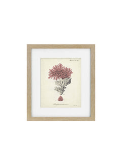 a wooden framed picture of a coral 