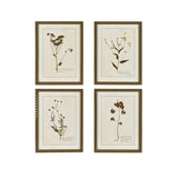 Set of 4 Delicate Floral Framed Prints